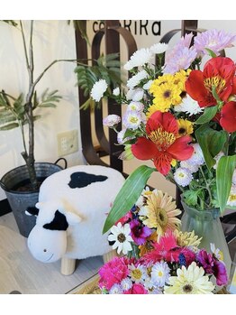 ココリラ(cocoRiRa)/