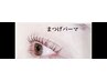 2回目以降 上下まつ毛パーマ