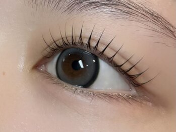 モアアンドモア 千歳船橋店(More&More)/立ち上げデザイン