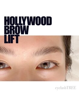 アイラッシュツリー(eyelash TREE)の写真/今大注目【ハリウッドブロウリフト】眉毛が多い/薄い等の悩みにアプローチ◎ワンランク上のオシャレ眉毛に