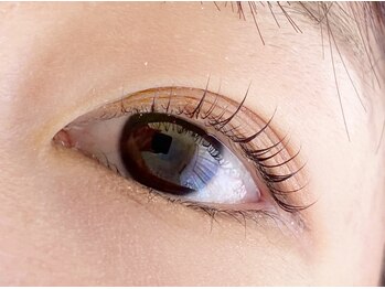 シマー(shimmer)/立ち上げカール!