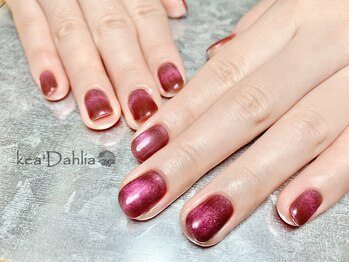 ケアダリア(kea’Dahlia)/マグネット【所沢/小手指】