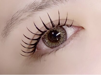 ベルティ(Bellti)の写真