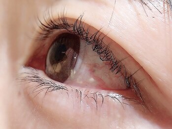 カラン 焼津店(CALIN)/ラスティングカール