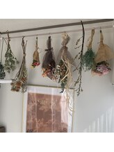 ナンバーナイン(No.9)/サンルームのドライフラワー