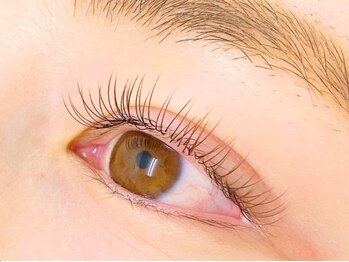 オリオン/ブラウンフラットラッシュ