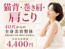 タイナ(taina)