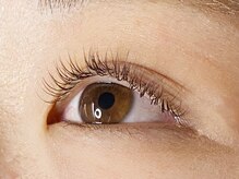 ウルカ アイラッシュ(uruka EYELASH)/フラットラッシュブラウン 120本