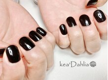 ケアダリア(kea’Dahlia)/ワンカラー【所沢/小手指】