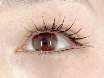 アラーナサロン 上野店(Arana salon)の写真/【まつ毛パーマとエクステがセットになったパリエク☆】まつ毛パーマだけでは物足りないという方に大人気！