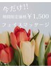 今だけ1500円フェイスマッサージ