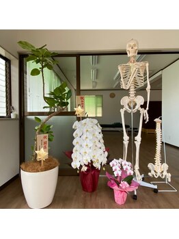 キナリ(Kinari)/ありがとうございます！