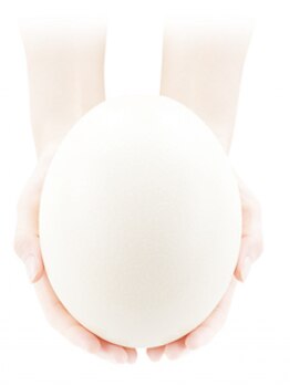 カシータ(CASITA)/ダチョウ抗体原料スキンケア