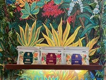 ロータスツリー(LOTUS TREE)/３種類の体質別のハーブティー♪