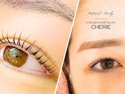 シェリー(Cherie)の写真