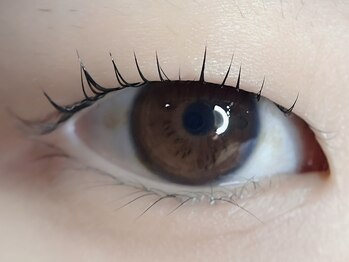 チュリップサカエ(Tulipe sakae)/まつげパーマ