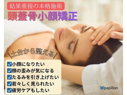 パピヨン(papillon)の写真