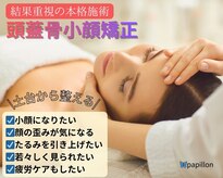 パピヨン(papillon)