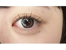 ルミナス(Luminous)/フラット120本　束仕上がり