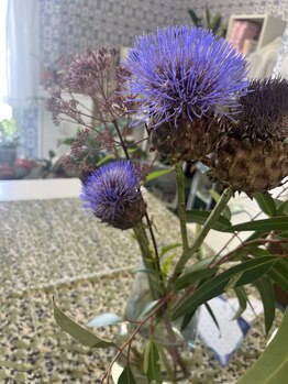 マシュマロハンド/よもぎ蒸し/冷え/むくみ改善