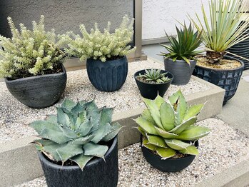 サロン ド アオゾラ(Salon de Aozora)/来た瞬間リラックスできるサロン