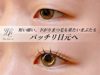 シャイニー(Shiny)の写真