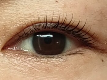 デコアイ(Deco eye)の写真/≪マスカラティント効果ですっぴん目力アップ！≫高技術で「自まつげを大切にしながら」デザインします☆彡