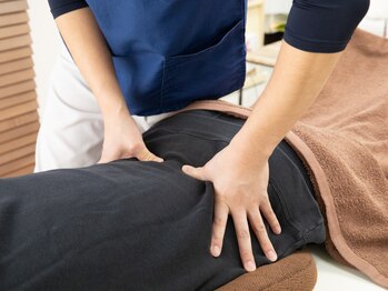 カラダ アリシア(Karada Alicia)の写真/骨格矯正のカウンセリングで日常動作のクセを見極めます！自然と身体がラクになり、可動域の広がりも実感◎