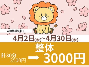 らいおん整骨院 府中店/キャンペーン