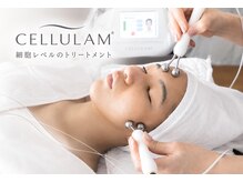 エム ビューティー(M Beauty)