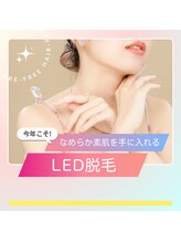 エヌ スタイル(N Style)/美肌LED脱毛でふっくらお肌
