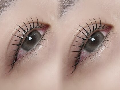 ヴィム ラッシュ(vim Lash)の写真