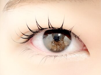 パティオアイラッシュ(Patio eyelash)/ラッシュリフト