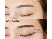 ブラン 成田店(Blanc)/眉パーマ/グロウラミネーション