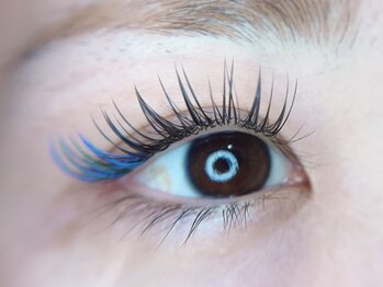 センシズアネックス(SENSES annex)/カラーエクステ