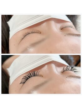 バイカラー(BY COLOR)/【BINDROCK】　160束