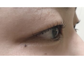 フェアリーヘア ニーナ(Fairy Hair Ni-na)/まつ毛パーマ【ラッシュリフト】