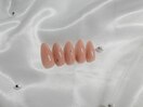 定額6600