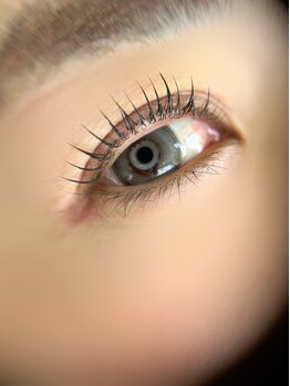 ラナ(Lana)/立ち上げデザイン