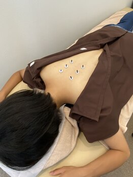 白金高輪はりきゅう整体院/鍼灸施術 白金高輪/麻布/泉岳寺