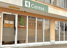 セレウス(Cereus)