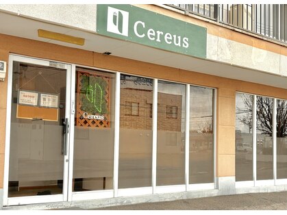 セレウス(Cereus)の写真