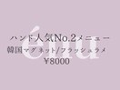 韓国マグネット/フラッシュラメ