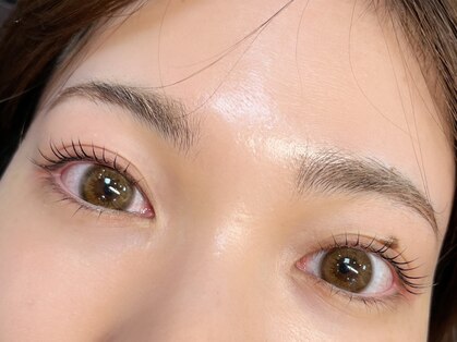 リノ(Lino)の写真