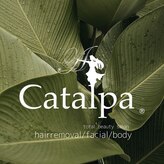 カタルパ(Catalpa)