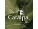 カタルパ(Catalpa)の写真