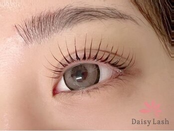 デイジーラッシュ 神戸三宮店(Daisy Lash)/まつげパーマ/パリジェンヌ/神戸