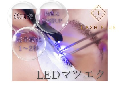 デザインドット(Design.)の写真