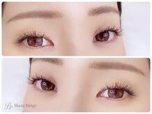 ブラン ネージュ(Blanc Neige)/バインドロック120束