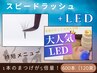 《LED+スピードラッシュ》600本(120束)1本のまつ毛<5倍の量>驚きの持続力